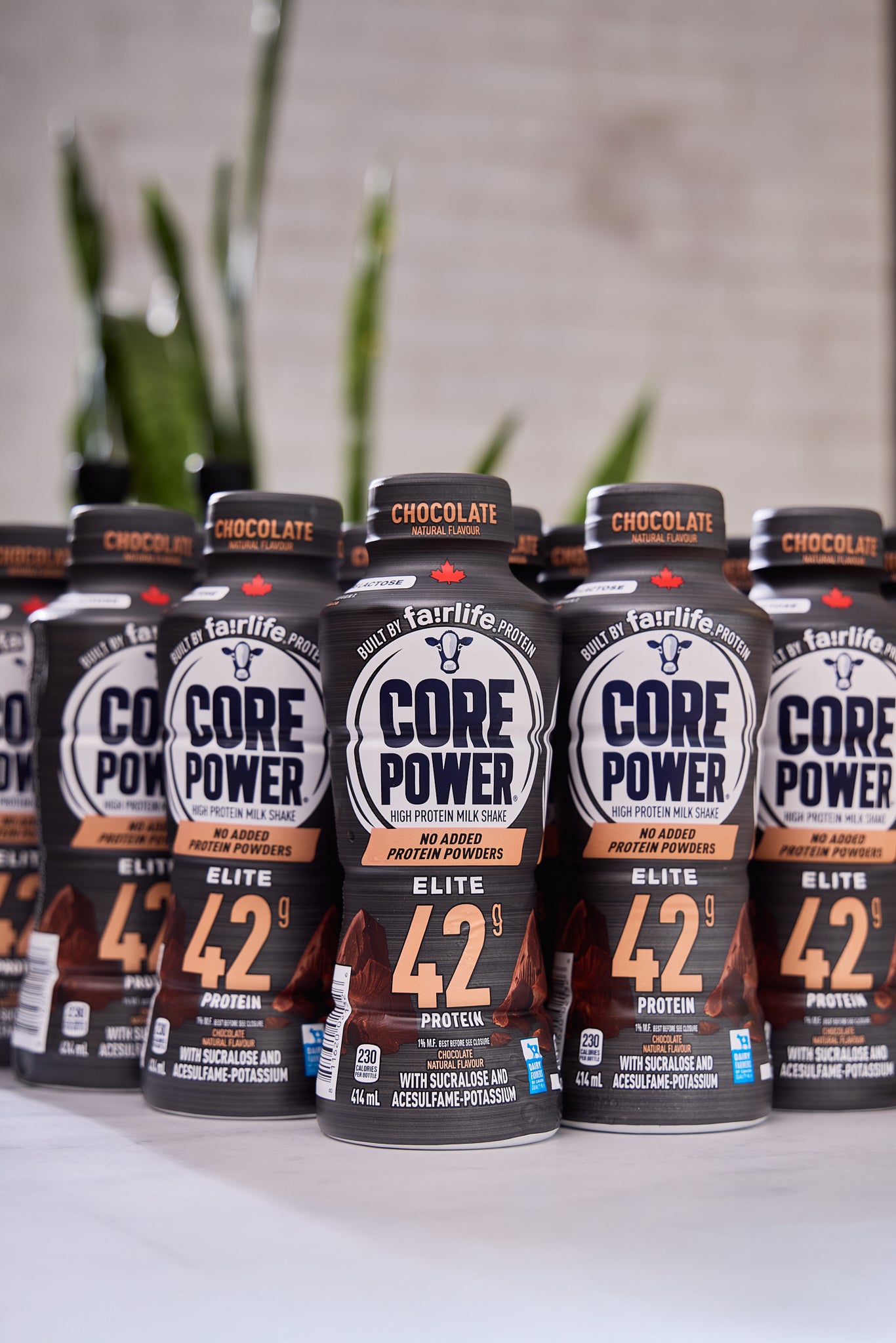 2025 - Core Power Elite Chocolate - Fairlife 42g High Protein Shake (12 Pack) - photo0