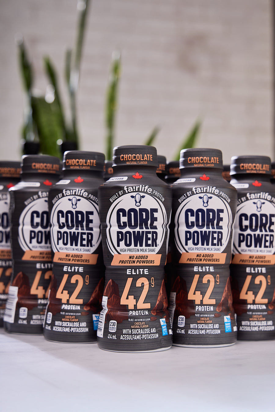 Corepower Slite Core Power Elite Chocolate - Fairlife 42g High Protein Shake (12 Pack ...